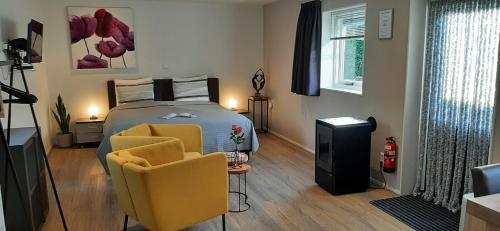 StiensBed & Breakfast Stiens (nabij Leeuwarden)的一间卧室配有一张床和两把椅子