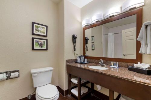 圣安东尼奥靠近六旗及医疗中心康福特茵酒店及套房的一间带卫生间、水槽和镜子的浴室
