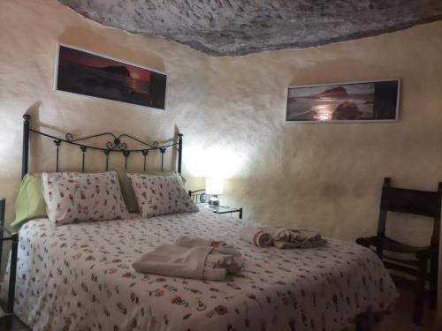 圣米格尔德阿沃纳奎瓦萨莎乡村民宿的卧室配有一张床