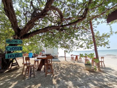 奥尔沃克斯岛Choby's House Holbox的海滩上树下的桌椅
