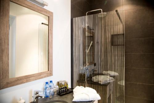 奥斯坦德尚布尔多住宿加早餐旅馆的带淋浴、盥洗盆和镜子的浴室