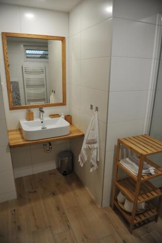 泰尔奇Apartmán Luční的一间带水槽和镜子的浴室