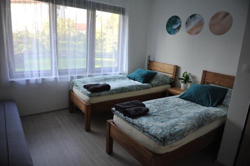 泰尔奇Apartmán Luční的带窗户的客房内设有两张单人床。