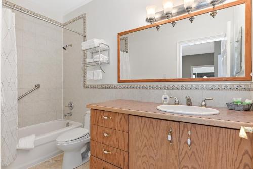 HarcourtBaptiste Lake Lodge的一间带水槽、卫生间和镜子的浴室