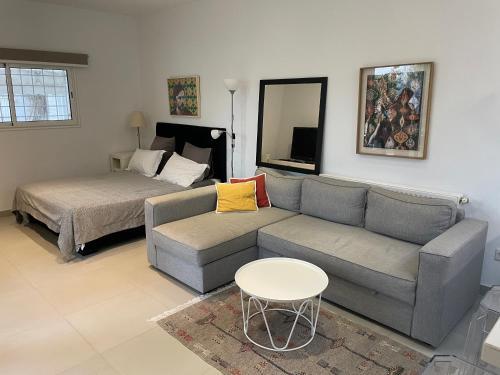 迦太基Appartement Studio à Carthage的客厅配有沙发和1张床