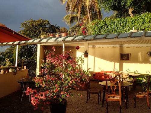 特里罗杰Le cactus guesthouse的庭院配有桌椅和鲜花