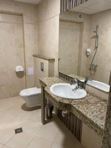 帕扎尔吉克Hotel Forum的一间带水槽、卫生间和镜子的浴室