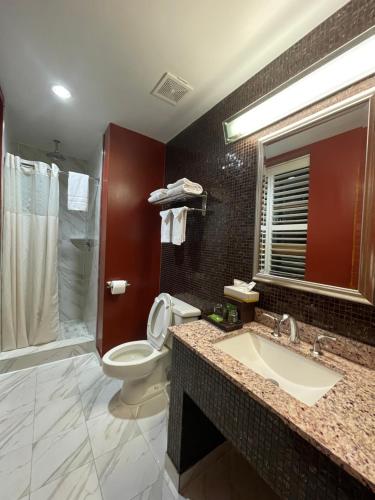华盛顿建筑师酒店的一间带水槽、卫生间和淋浴的浴室