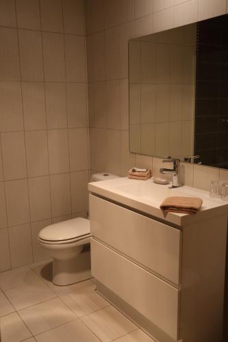 布赖特明亮的木屋的浴室设有卫生间和带镜子的盥洗盆