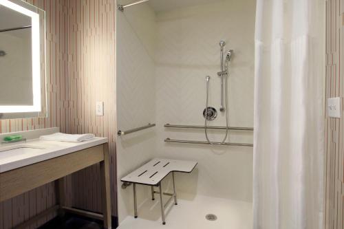 哈蒂斯堡Holiday Inn Hattiesburg - North, an IHG Hotel的带淋浴、卫生间和盥洗盆的浴室
