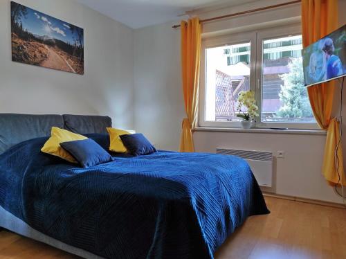 扎科帕内Apartamentylove - Apartament Oliwia的一间卧室配有一张带蓝色床单的床和一扇窗户。