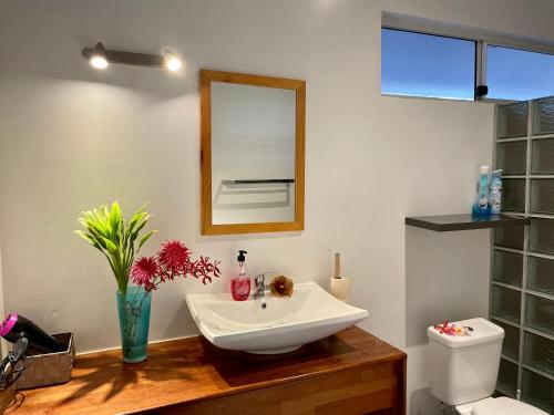 波拉波拉Lokai house的一间带水槽、镜子和卫生间的浴室
