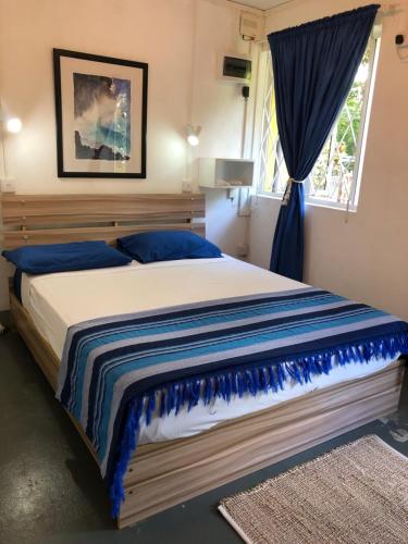 RiambelCase Cassia的一间卧室配有一张带蓝色枕头的大床和窗户。