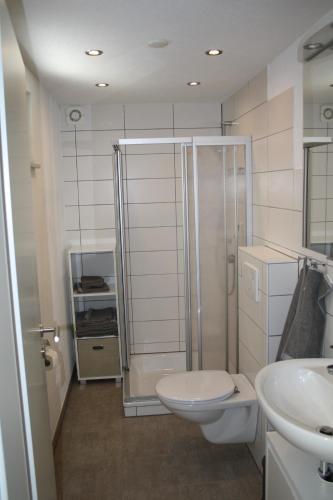 MurgSchönes Zimmer mit Bad für Reisende的带淋浴、卫生间和盥洗盆的浴室