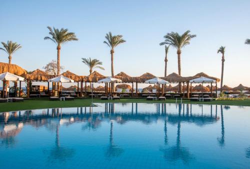 沙姆沙伊赫Sunrise Remal Beach Resort的一个带遮阳伞和棕榈树的大型游泳池