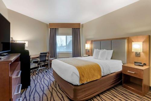大瀑布城市场机场康福特茵酒店的酒店客房设有一张大床和一张书桌。