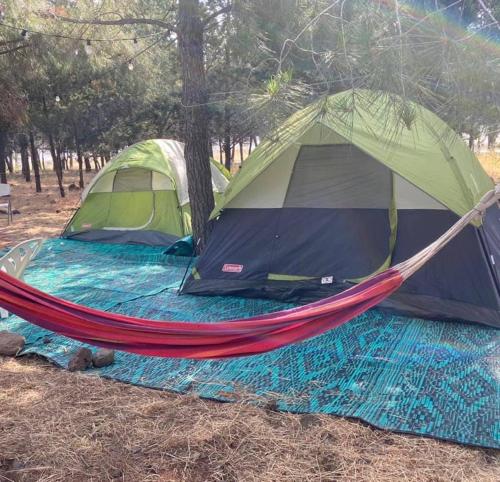 NaturYurt的帐篷和田野吊床