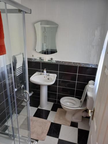 瓦伦西亚岛Stunning 1-Bed Apartment Valentia Island的浴室配有卫生间、盥洗盆和淋浴。
