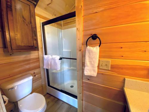 CarrollB1 NEW Awesome Tiny Home with AC Mountain Views Minutes to Skiing Hiking Attractions的一间带卫生间和玻璃淋浴间的浴室