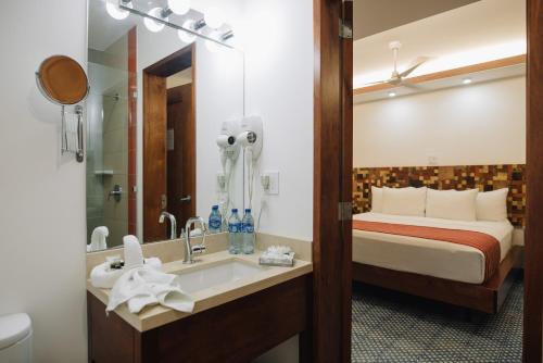 格拉纳达Rouge By La Gran Francia的酒店客房设有床和水槽