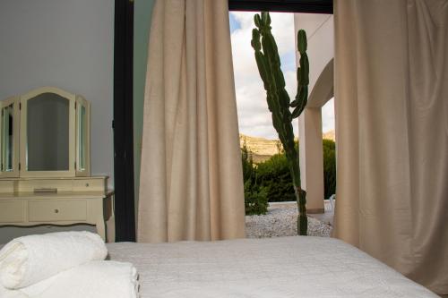 拉斯内格拉斯Oro y luz las negras的一间卧室配有仙人掌和一张带镜子的床