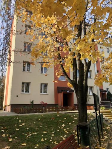 博赫尼亚Apartament Krakowska的建筑物前有黄叶的树