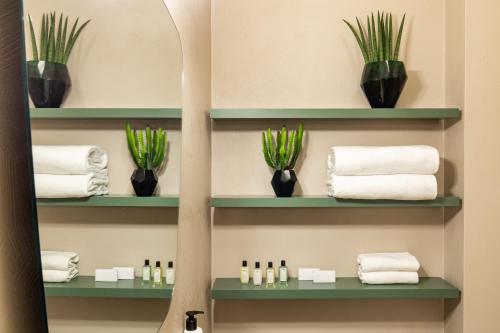 博洛尼亚波尔塔圣马莫洛酒店的浴室设有绿色的架子,配有毛巾和植物