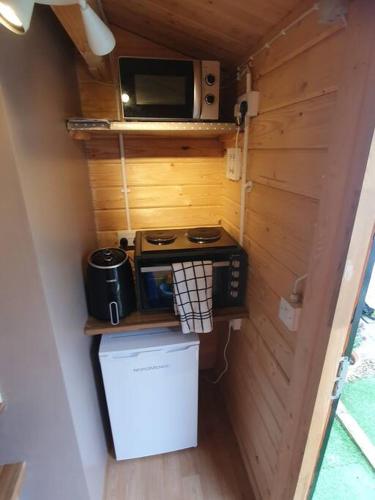 韦克斯福德17b DB Airbnb的一间带炉灶和微波炉的小厨房