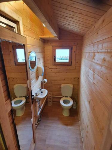 韦克斯福德17b DB Airbnb的小型浴室设有2个卫生间和水槽