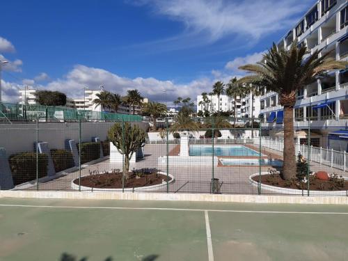 Apartamento centrico en Playa Del Ingles内部或周边的泳池