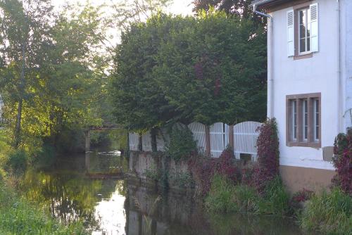 WolxheimLa Maison Carré的河边有围栏的房子