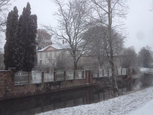 WolxheimLa Maison Carré的河边的雪地里围着栅栏和树木