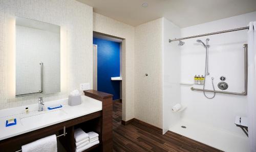 萨尼亚Holiday Inn Express - Sarnia - Point Edward, an IHG Hotel的一间带水槽和淋浴的浴室
