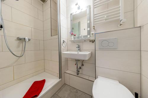 圣布拉辛贝尔维尤酒店的带淋浴卫生间和盥洗盆的浴室