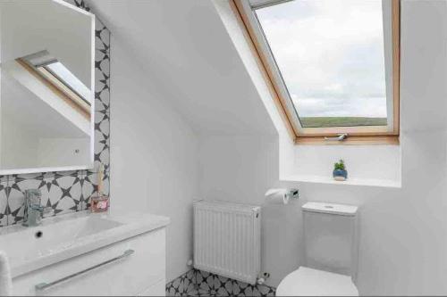 丁格尔Wonderful Coastal home in Dingle town的一间带卫生间、水槽和窗户的浴室