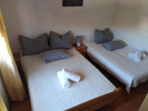沃迪切Apartment Zorica的客房内的两张床和毛巾