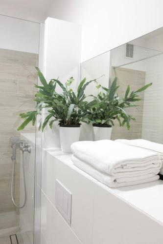 什切青White Frog的浴室设有两盆植物和镜子