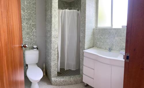 卧龙岗市区汽车旅馆的浴室配有卫生间、淋浴和盥洗盆。
