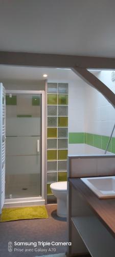 韦扎克CHAMBRES D'HOTES SERMUS的带淋浴、卫生间和盥洗盆的浴室
