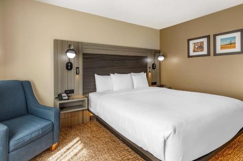Comfort Inn & Suites North Dallas-Addison客房内的一张或多张床位