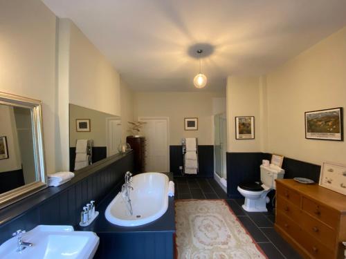 ChillinghamChillingham Manor的带浴缸、盥洗盆和卫生间的浴室
