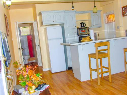 苏弗里耶尔Amazon Villas的厨房配有白色橱柜和白色冰箱。