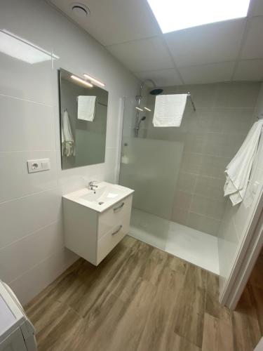 瓦伦西亚Cozy flat in La Petxina B的白色的浴室设有水槽和镜子