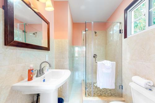 丹格里加Came at Hummingbird Estate Gold Standard Certified的一间带水槽和淋浴的浴室