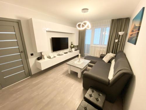 帕内韦日斯Studio flat in Panevezys的客厅配有黑色沙发和电视