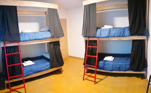 迈普OliWine hostel的配有2张双层床的蓝色客房