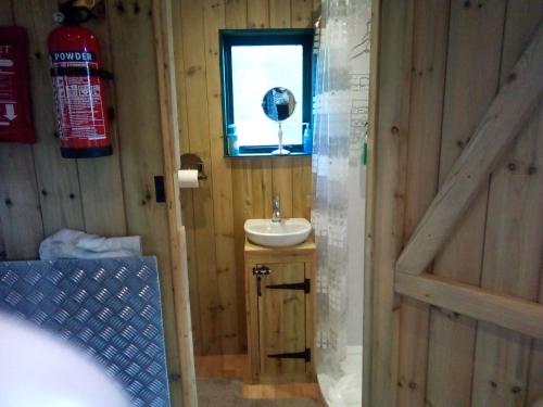 巴斯Lower Haven Shepherds Hut的一间带水槽和窗户的浴室
