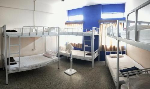 马尔冈Monkey Mind Hostel的一间设有三张双层床的客房