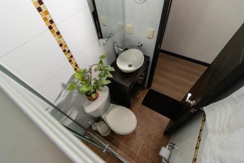 马尼萨莱斯Milán, Acogedor apto en Zona Rosa con Balcón的浴室的顶部景观,设有两个卫生间和一个水槽