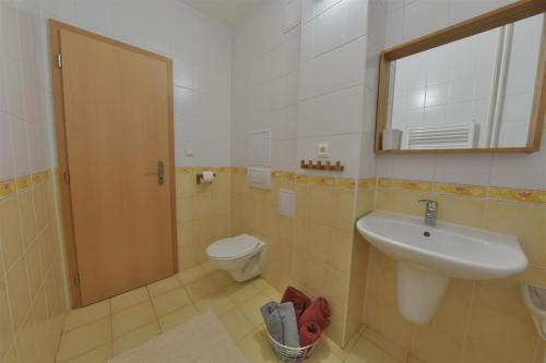 多纳瓦利KF Apartment Donovaly的一间带水槽、卫生间和镜子的浴室